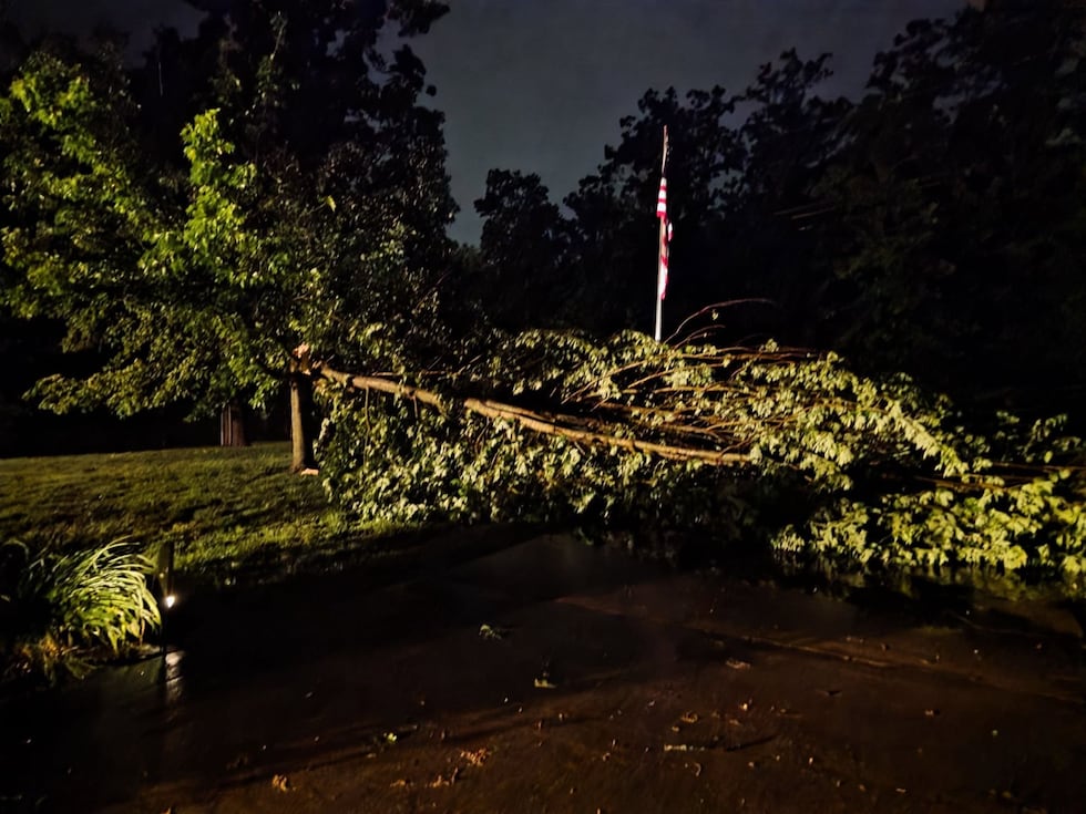Severe weather brought down trees in Lawrence County.
