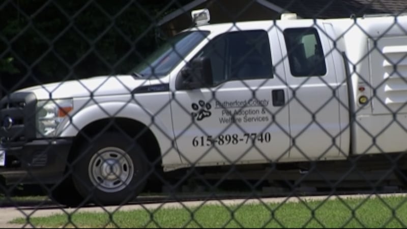 Ataque de perros en Smyrna deja cinco personas lesionadas.