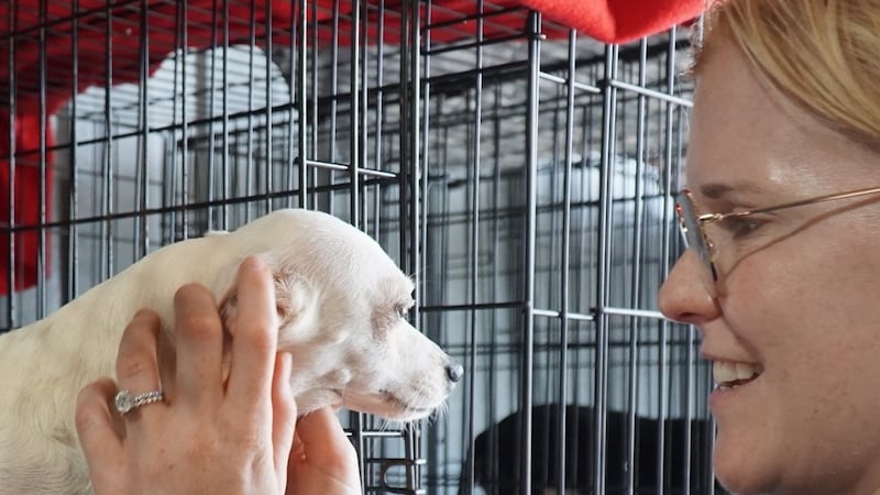 Two Middle Tennessee animal rescue groups have put out a plea for support as they face a...