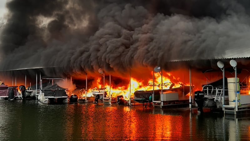 A dock and several vessels burn at Elm Hill Marina on Percy Priest Lake in Nashville.