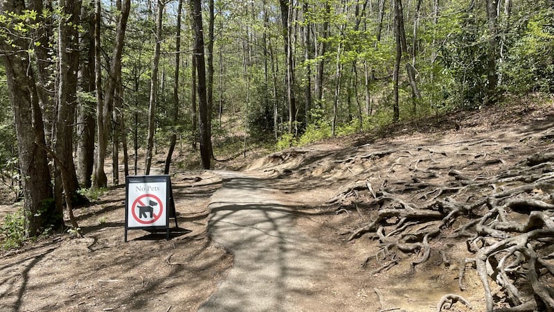 7 tour companies have developed plans to bus people into Great Smoky Mountains National Park...