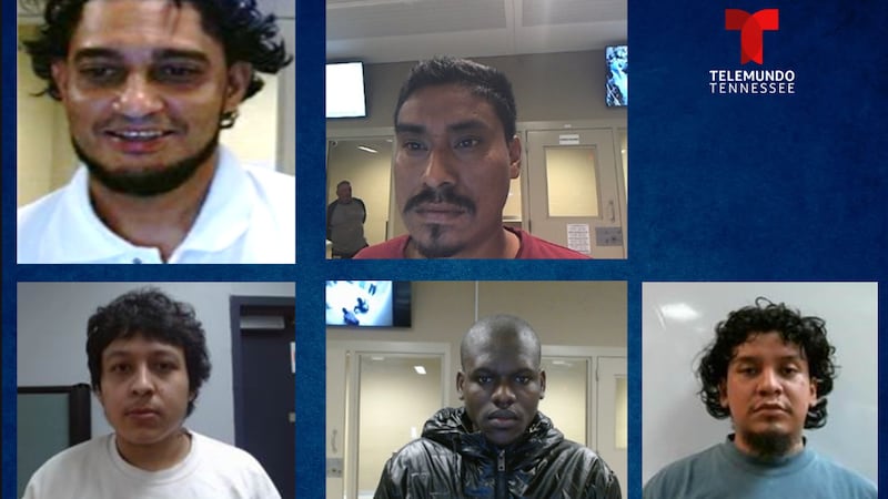 ICE da a conocer detenciones en Tennessee.