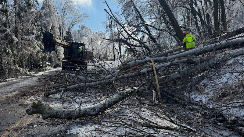 Downed trees litter roads all over Middle Tennessee.