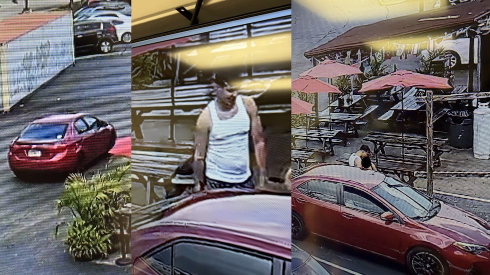 Police are asking the pubic for help locating a suspect and suspect vehicle in a hit-and-run...