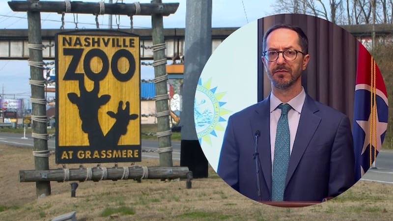 Metro Nashville busca expropiar terreno para frenar centro de datos cerca del Zoológico