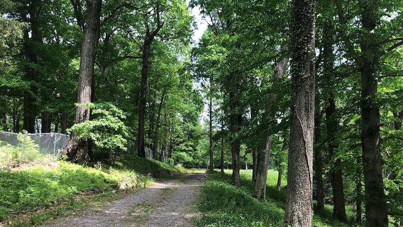 Mariposa Park