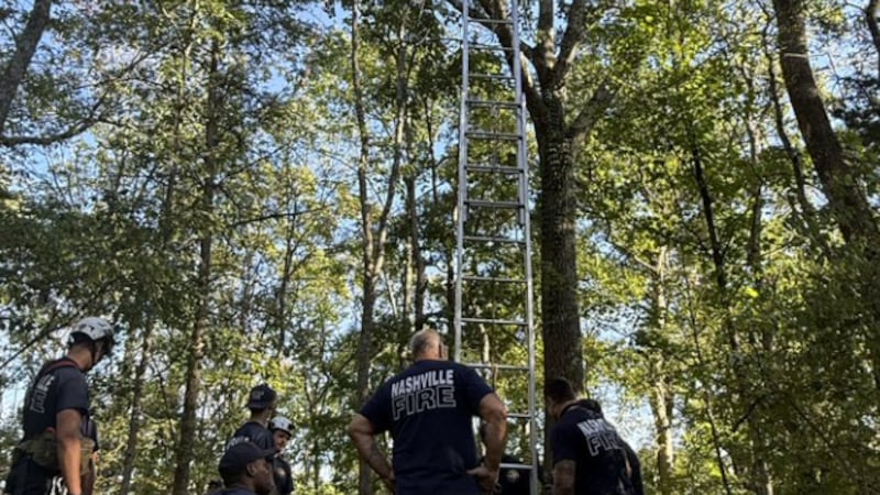 Rescatan a paracaidista  que quedó atrapado en un árbol en Ashland City, el instructor fue...