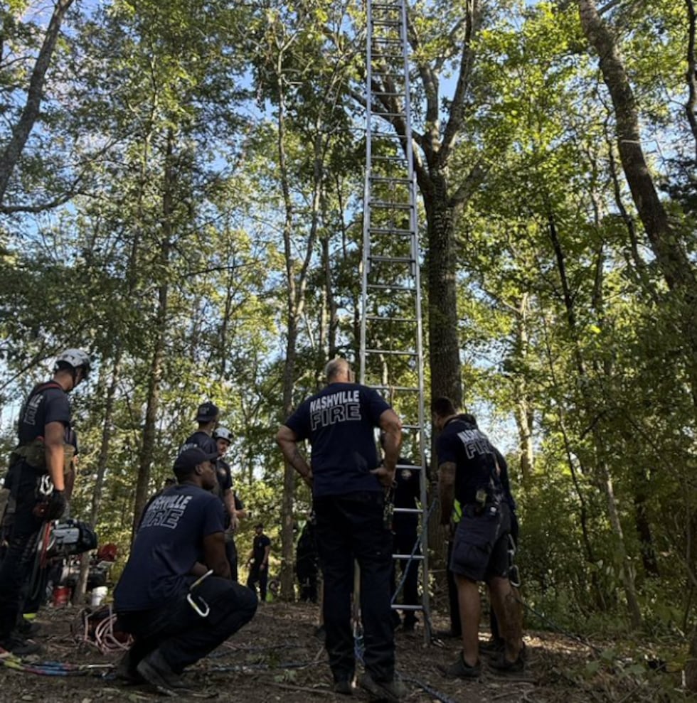 Rescatan a paracaidista que quedó atrapado en un árbol en Ashland City.