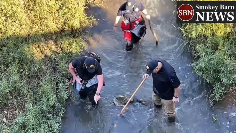 Encuentran restos humanos en Springfield