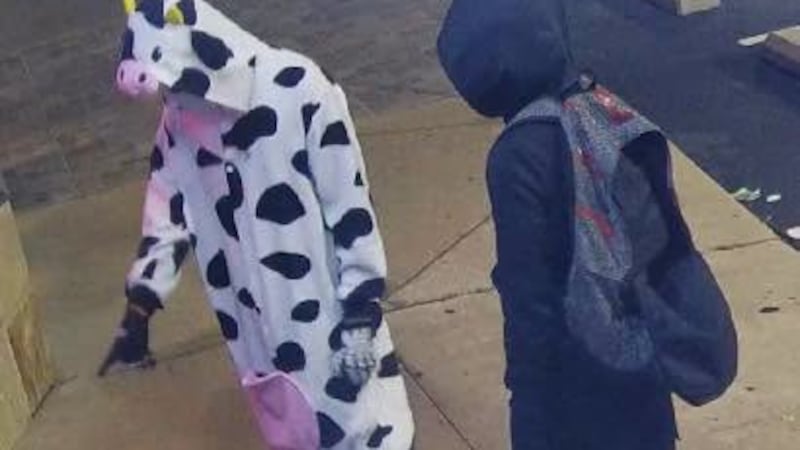 Policía busca a sospechoso en pijama de vaca tras robo a tienda de vapeo en Tennessee