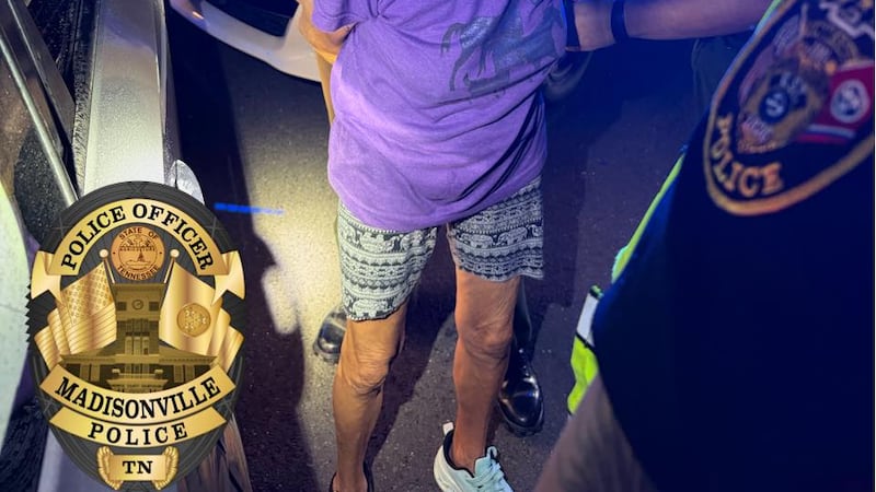 Driver arrested for DUI after hitting police car head on, Madisonville police say