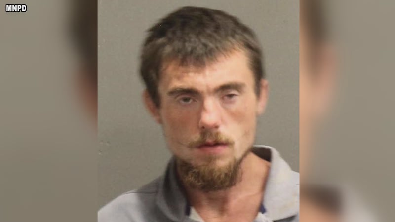 Man with machete accused of robbing woman in broad daylight