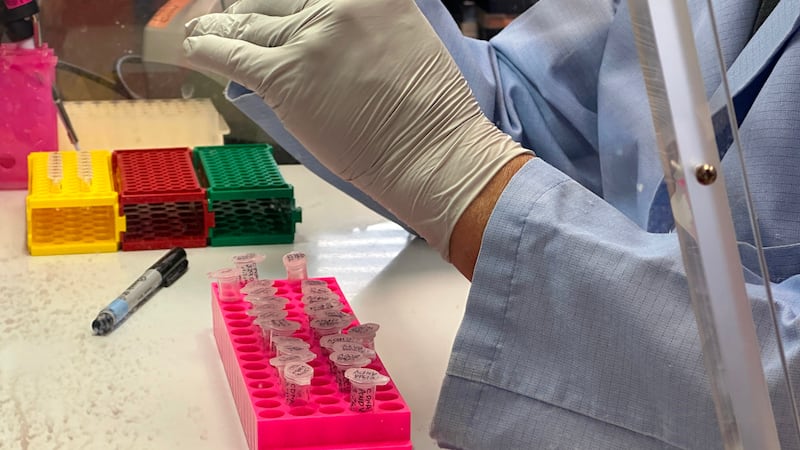 FILE - Research scientist Robert Nofchissey prepares samples of inactivated material as part...