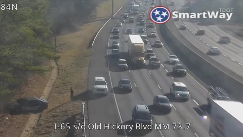 Persecución en Brentwood tras choque en la I-65. Dos detenidos uno más prófugo dijo la policía