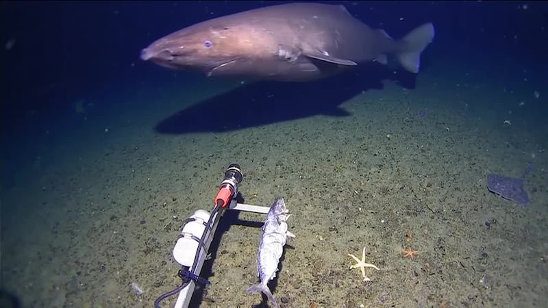 Top 5 con Miguel Ángel Antoñanzas | 18 de febrero de 2026