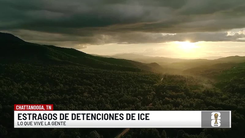 "Tenemos la esperanza de que esto va a pasar". Mujeres emprendedoras reparten despensas tras...