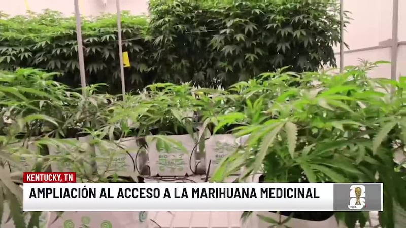 Gobernador de Kentucky amplia el acceso a la marihuana medicinal