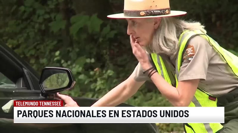 Noticias Telemundo Tennessee