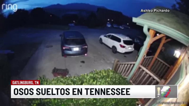 Noticias Telemundo Tennessee - 7 de julio