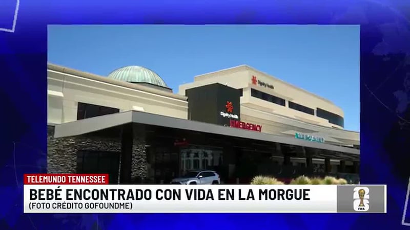 Noticias Telemundo Tennessee - 7 de julio