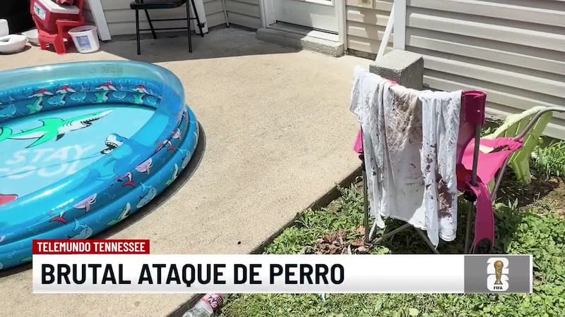 Noticias Telemundo Tennessee - 9 de junio