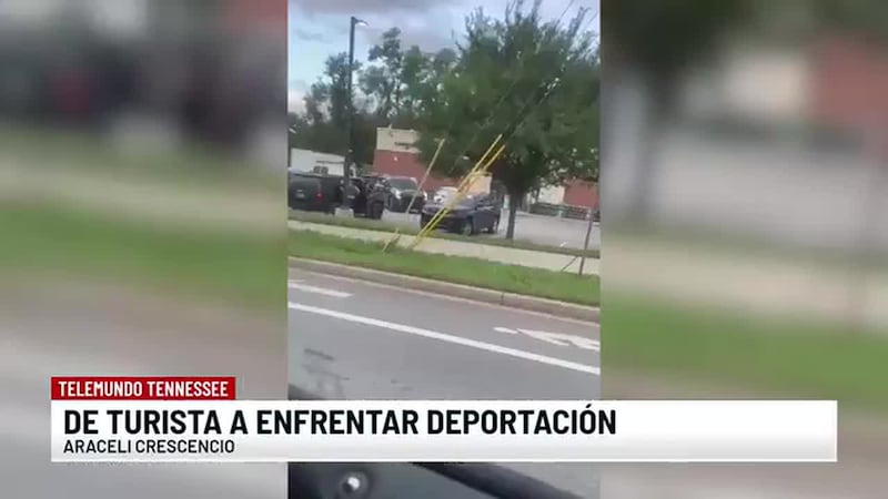 Noticias Telemundo Tennessee - 14 de julio