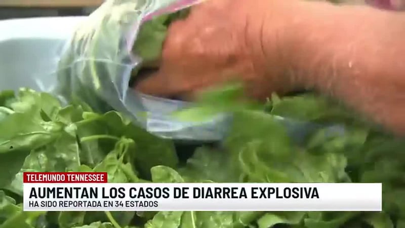 Noticias Telemundo Tennessee - julio 15, 2026