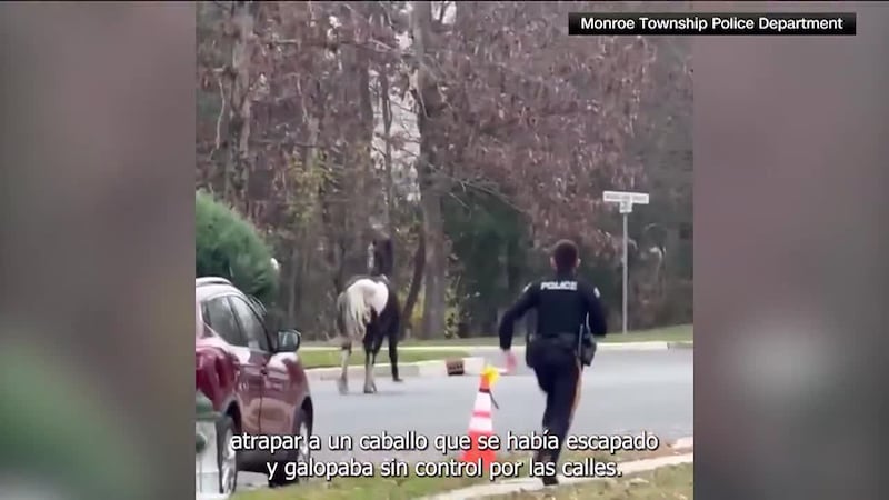 Top 5 con Miguel Ángel Antoñanzas | 24 de noviembre de 2025