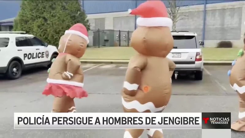 Hombres de Jengibre provocan tremenda persecución policial